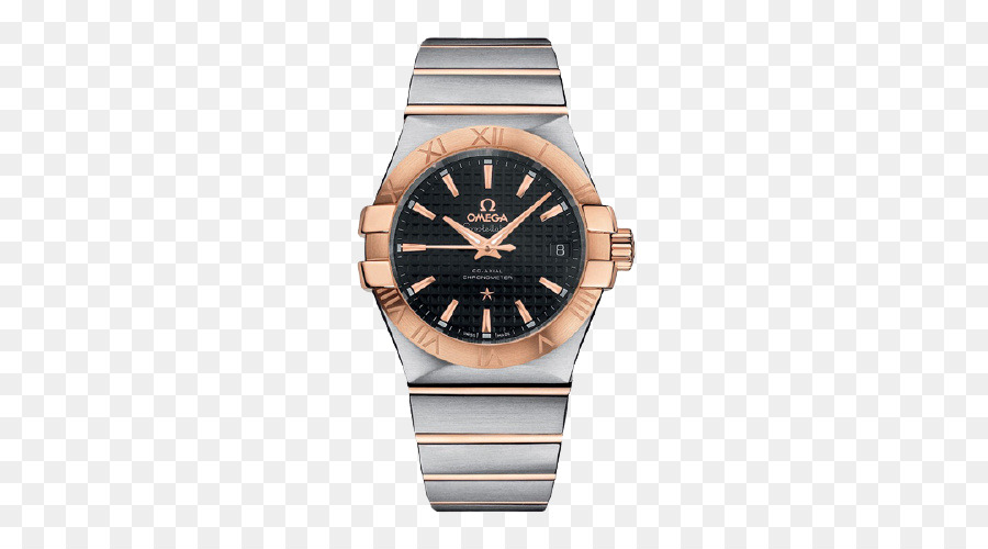 Montre，Montre Bracelet PNG