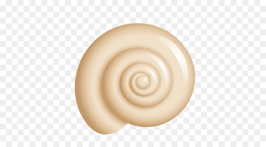 Coquillage，Spirale PNG