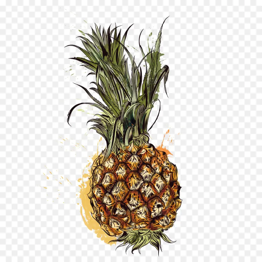 Ananas，Fruits Tropiques PNG