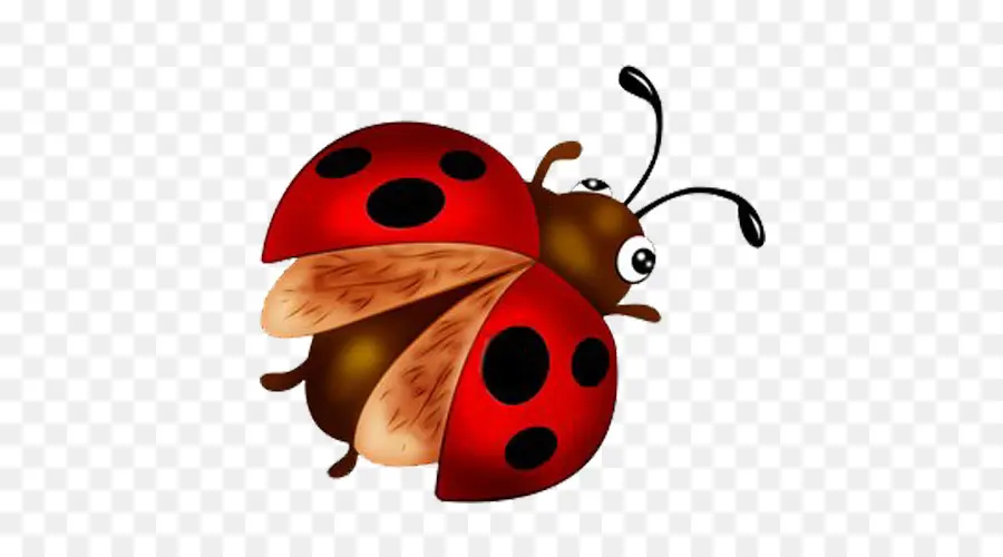 Coccinelle，Rouge PNG