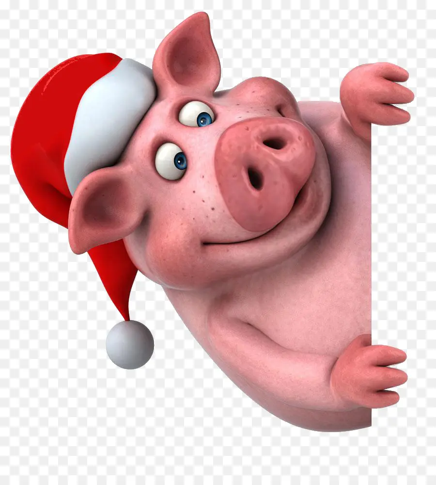 Cochon Avec Chapeau De Père Noël，Noël PNG