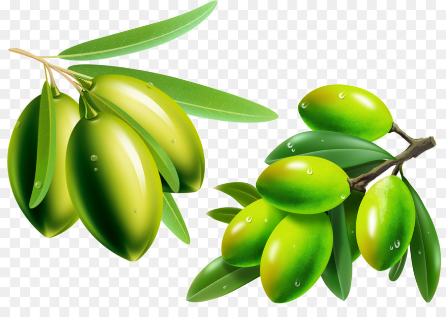 Olives Vertes，Bifurquer PNG