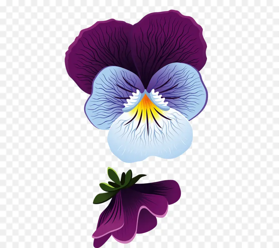 Pensée，Violet PNG