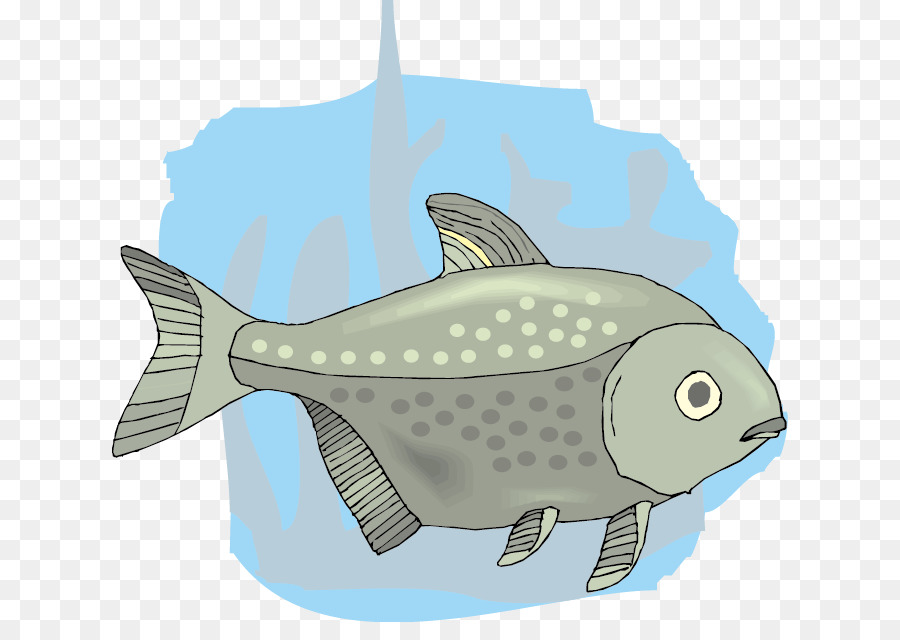 Poisson，Aquatique PNG