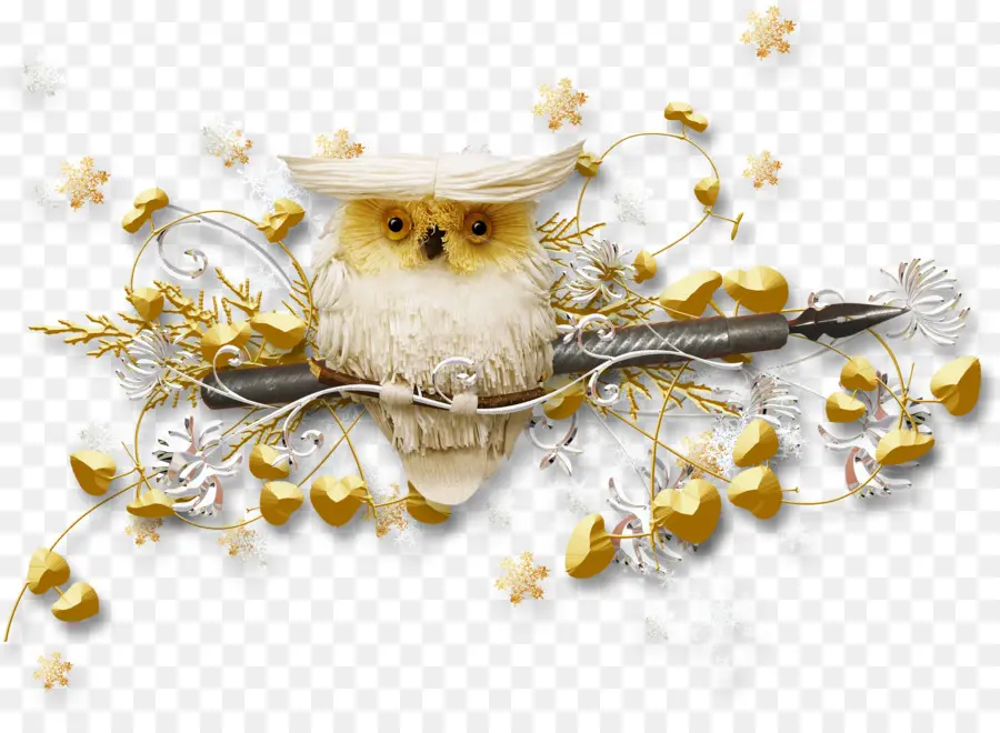 Hibou，Blanc PNG