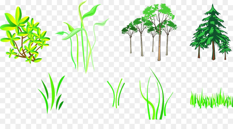 Plantes，Vert PNG