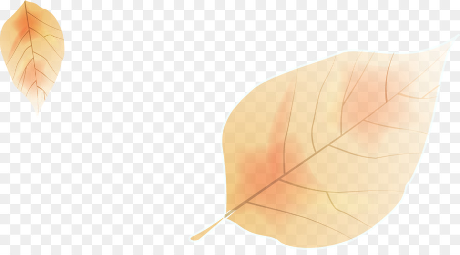 Feuille，Angle PNG