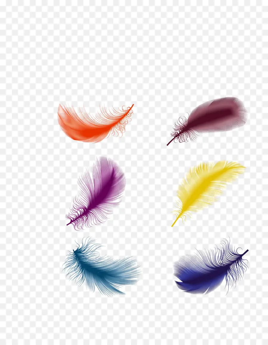 Flottant Plume，Plume PNG