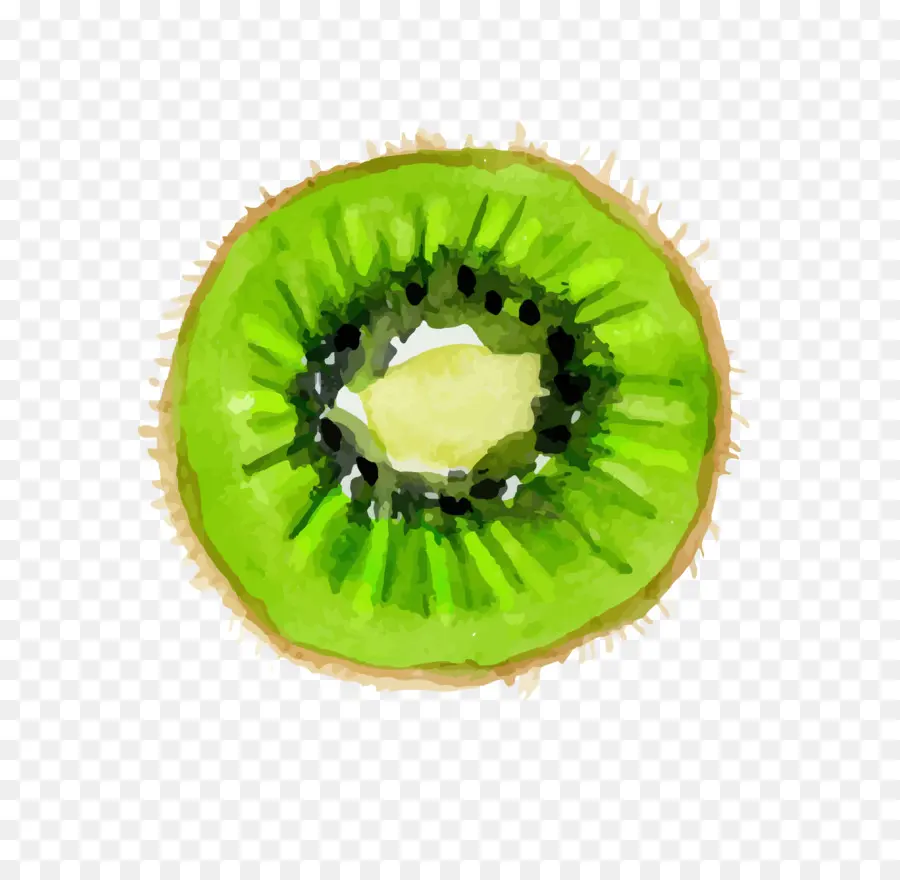 Kiwifruit，Conception Des œufs De Pâques PNG