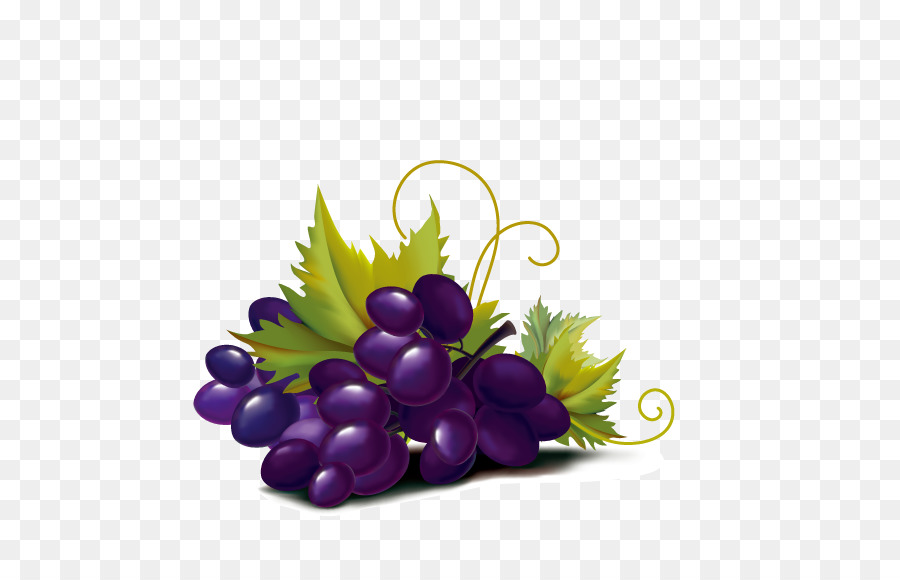 Raisins Violets，Feuilles PNG