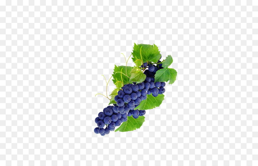 Raisins，Vigne PNG