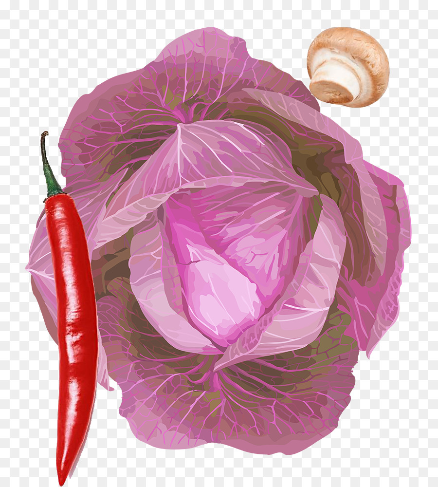 Poivron，Légumes PNG