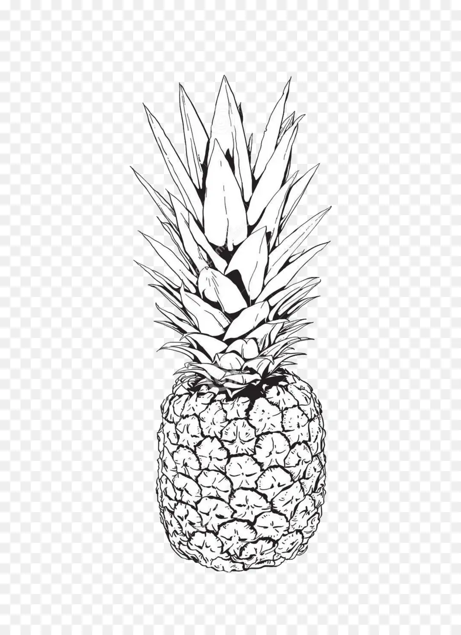 L Ananas，Dessin PNG