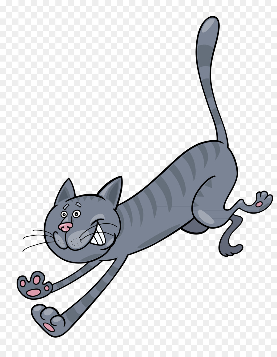 Chaton，Moustaches PNG