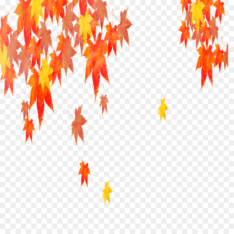 Feuilles D'automne，Automne PNG