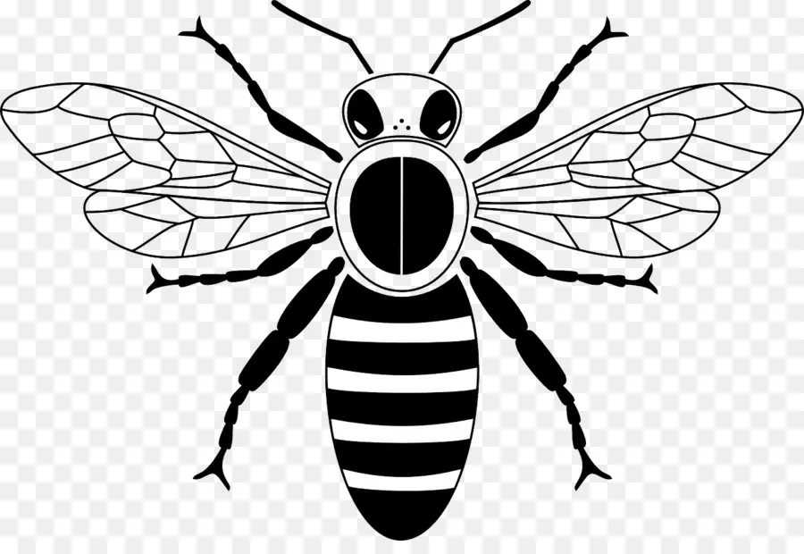 Abeille，Miel PNG