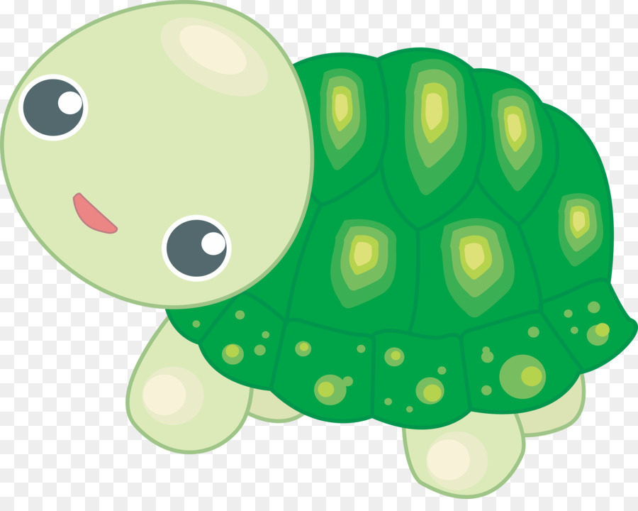 Tortue，Mer PNG