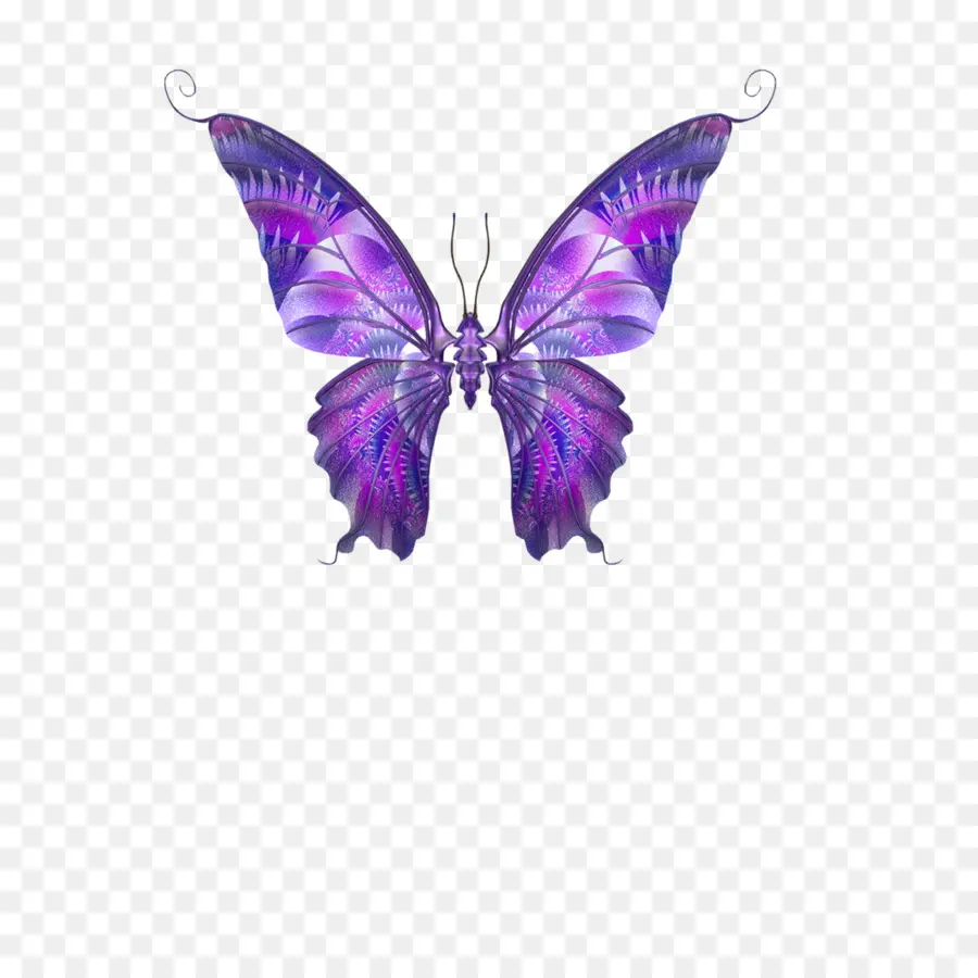 Papillon，Violet PNG