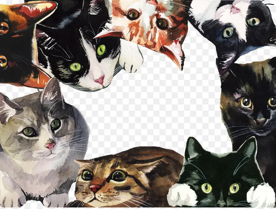 Chats，Animaux De Compagnie PNG