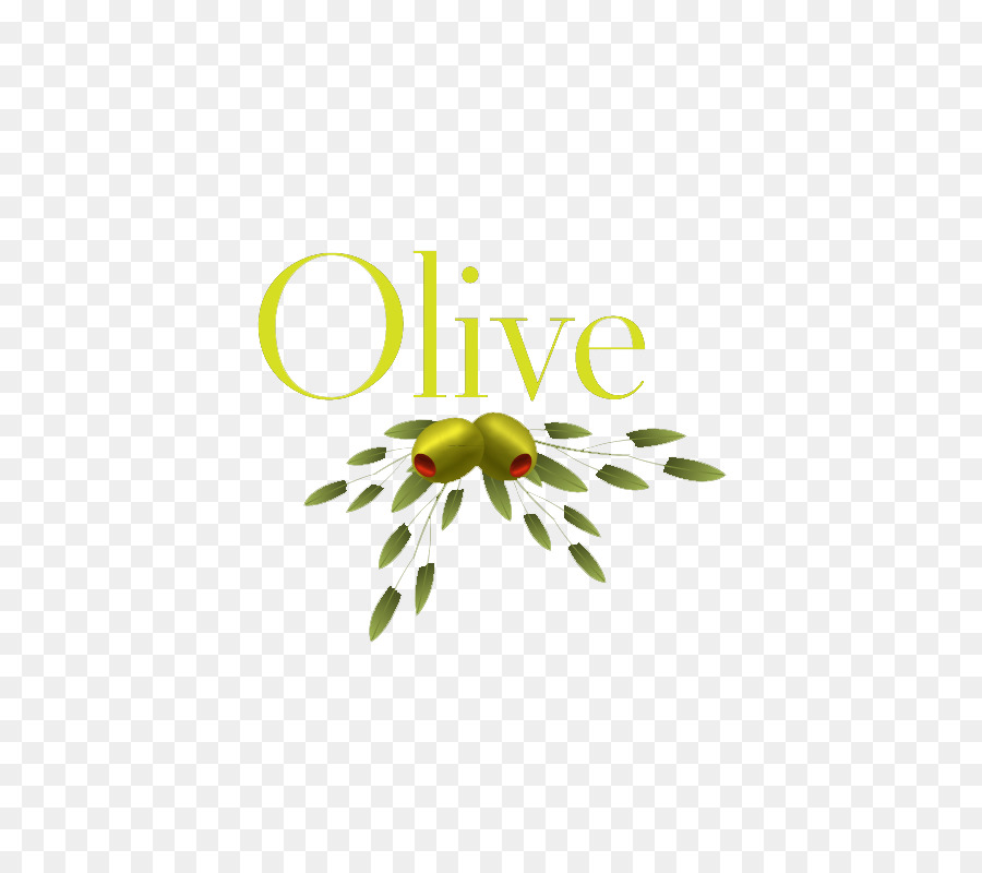 Olive，Vert PNG