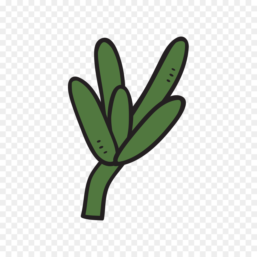 Feuille，Plante Succulente PNG