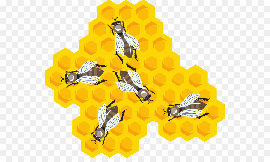 Abeilles Sur Nid D'abeilles，Chéri PNG