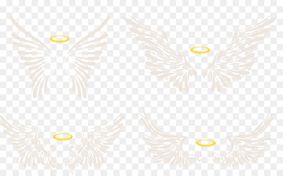 Ailes D'ange，Ailes PNG