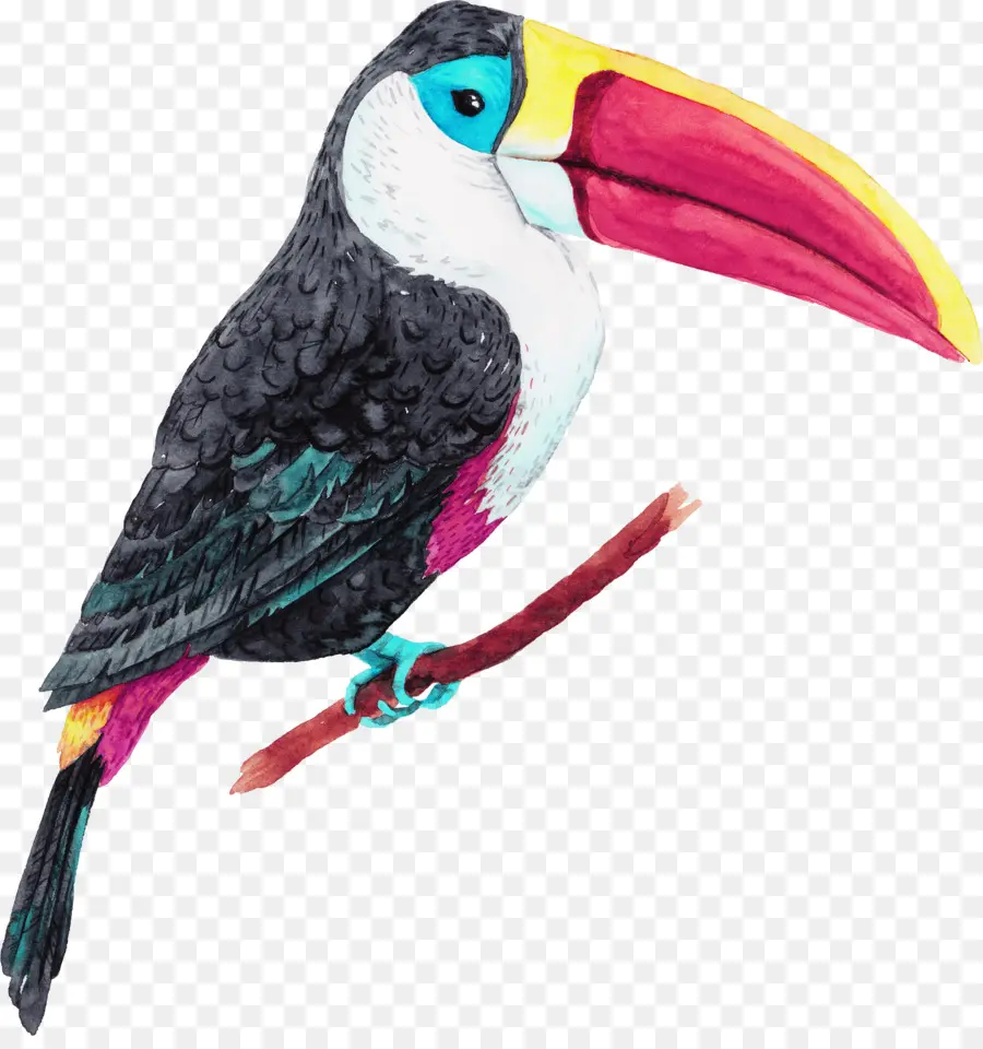 île De La Jungle，Oiseau PNG