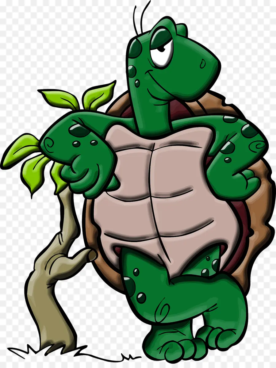 Tortue De Dessin Animé，Dessin Animé PNG