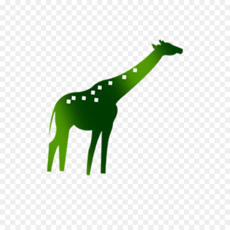 Girafe，Vert PNG