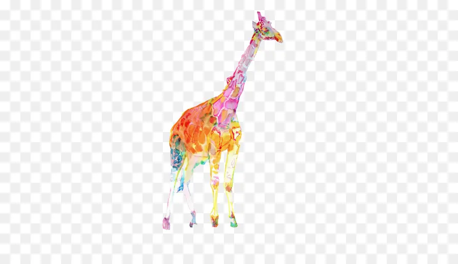 Girafe Colorée，Girafe PNG