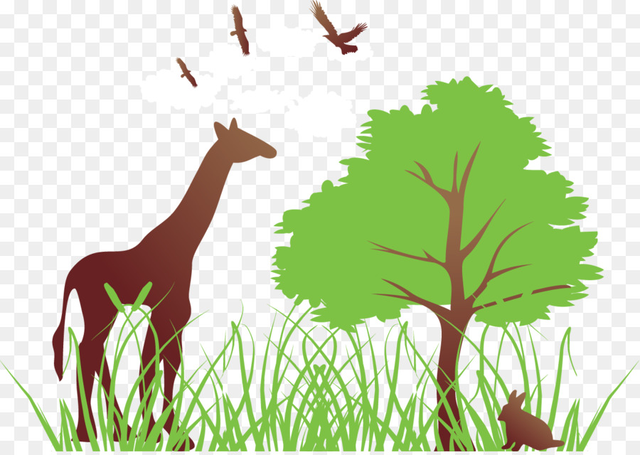 Girafe Et Arbre，Herbe PNG