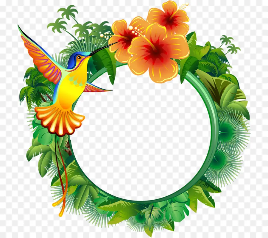 Colibri，Fleurs PNG