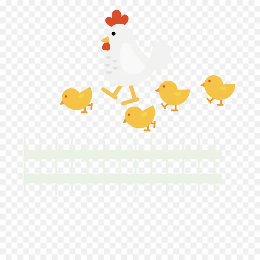 Poule Avec Poussins，Poussins PNG