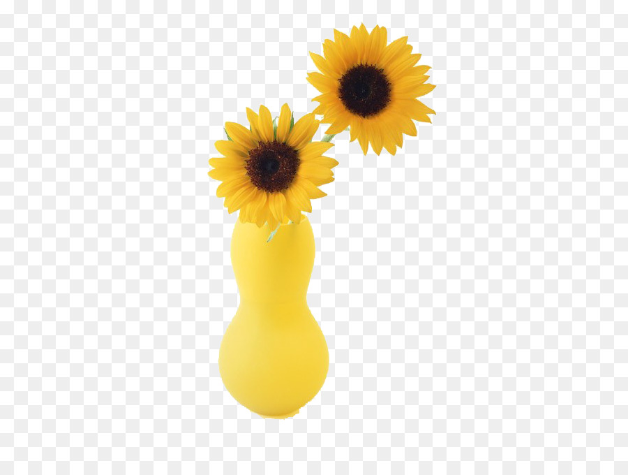 Deux Coupe Tournesols，Commune De Tournesol PNG