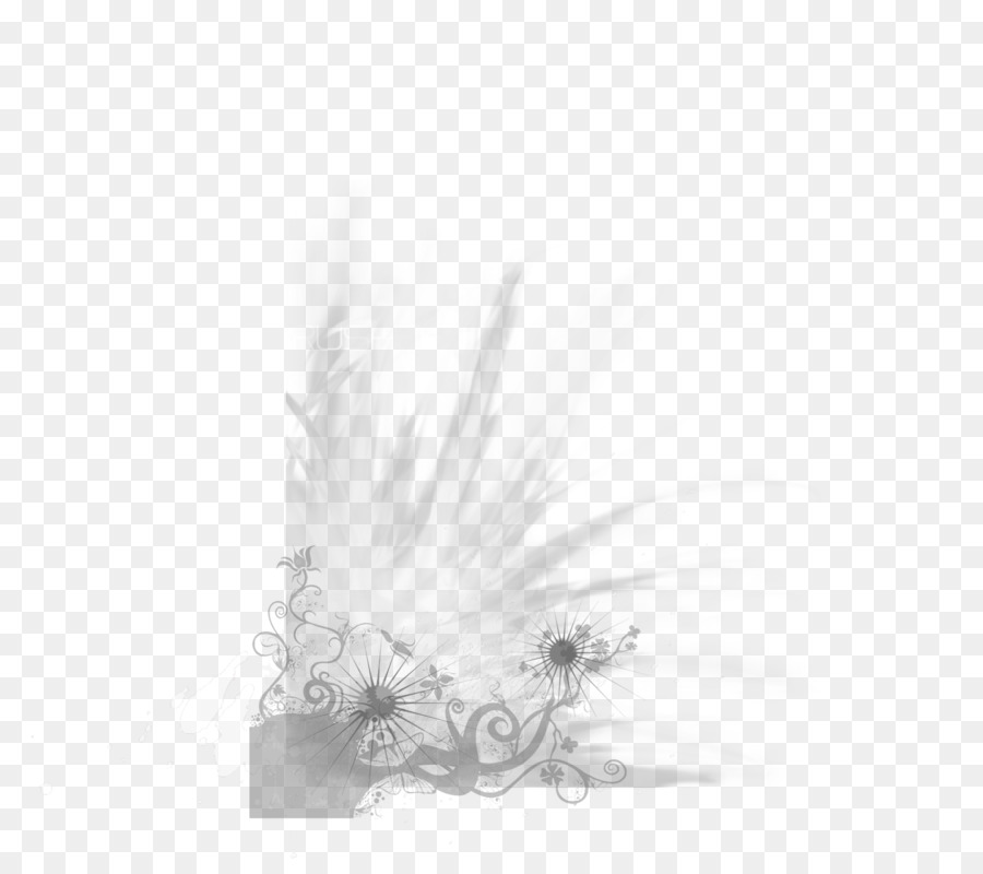 Conception Florale，Fleurs PNG