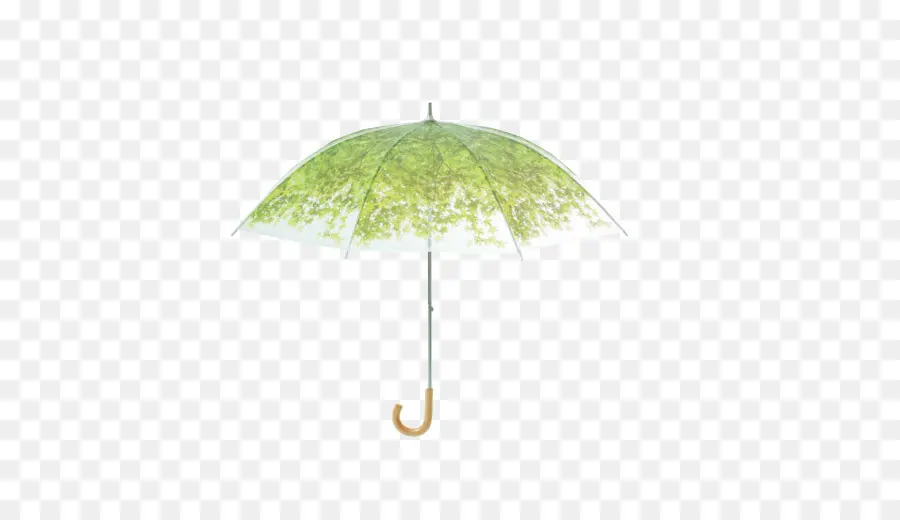 Parapluie，Pluie PNG