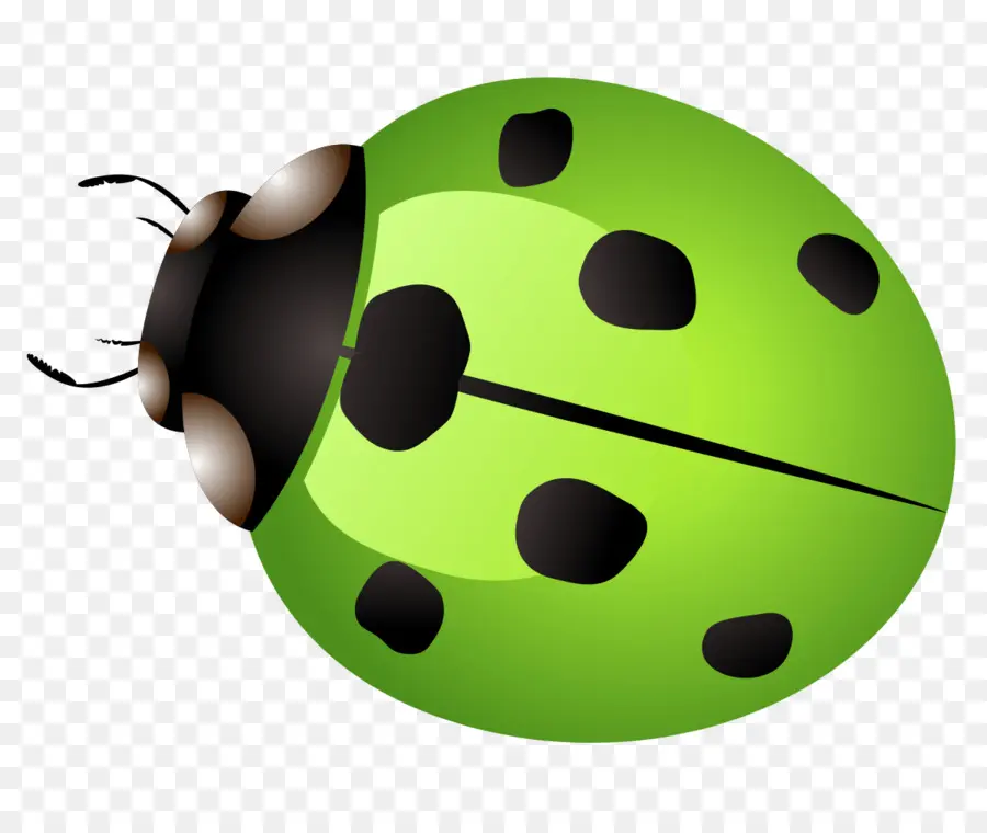 Coccinelle Verte，Taches PNG