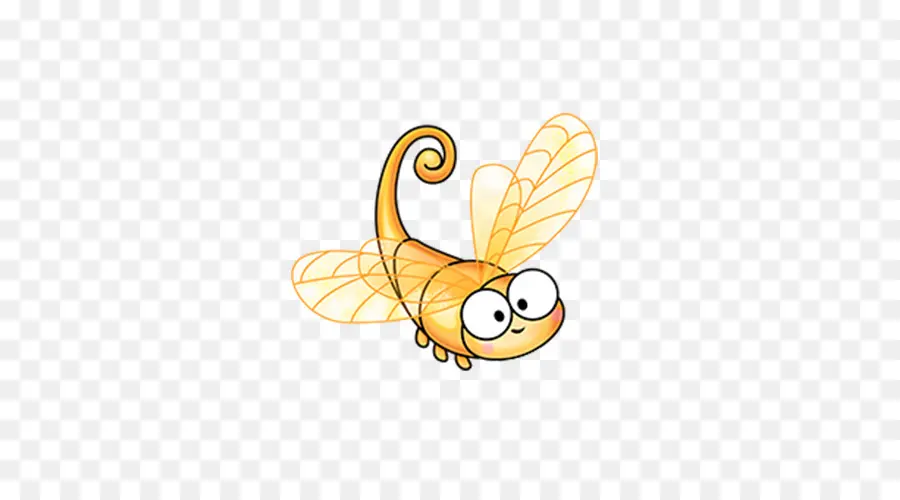 Insecte，Ailes PNG