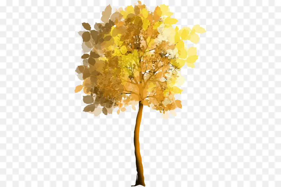 Arbre，Feuilles PNG