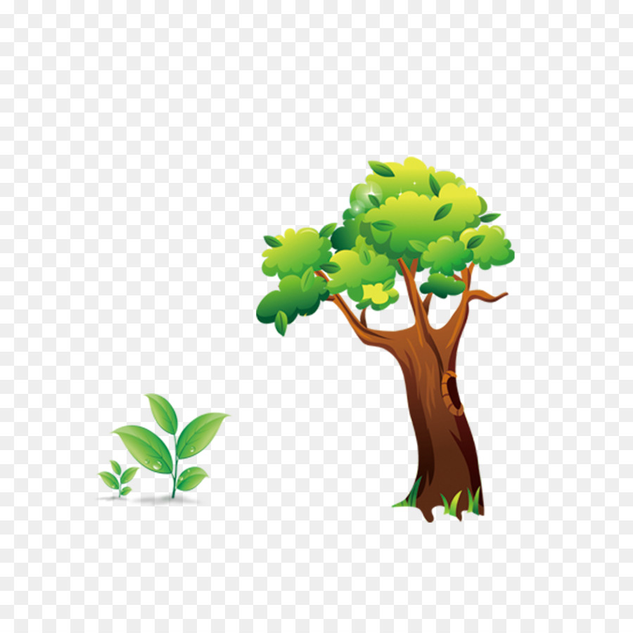 Arbre，Dessin Animé PNG