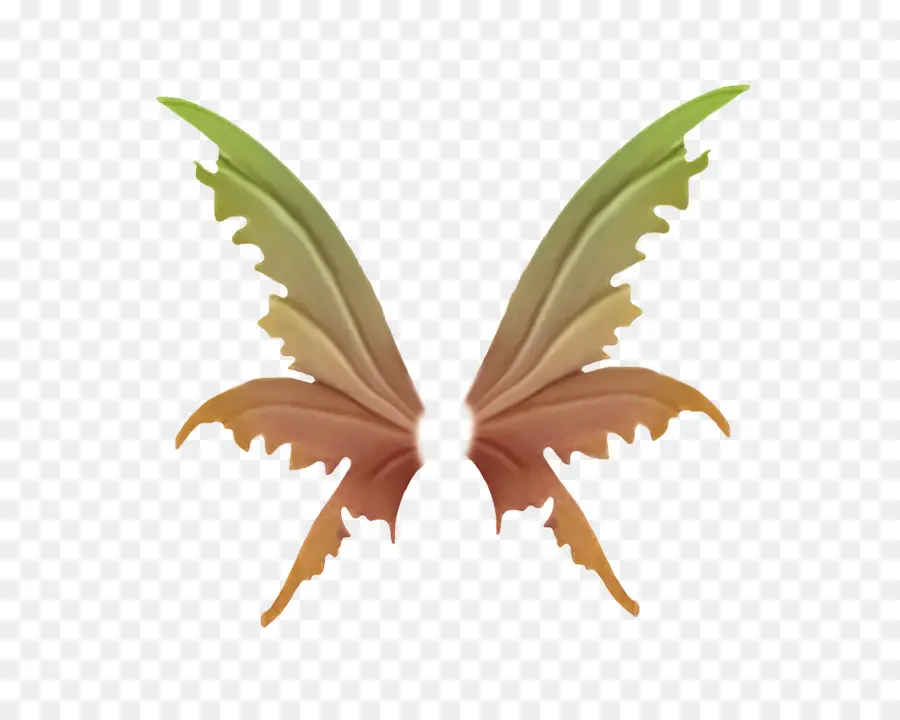 Ailes De Papillon，Insecte PNG