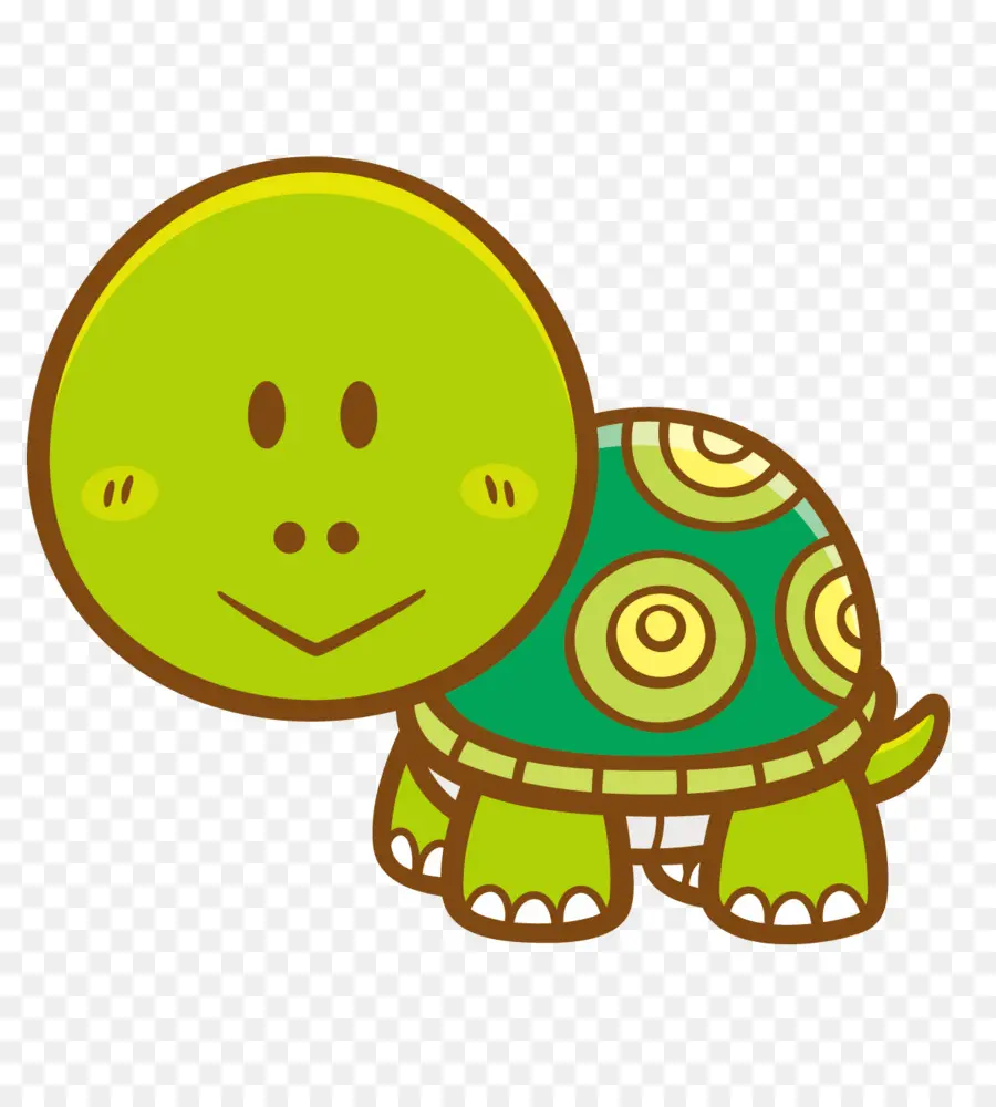 Tortue De Dessin Animé，Vert PNG