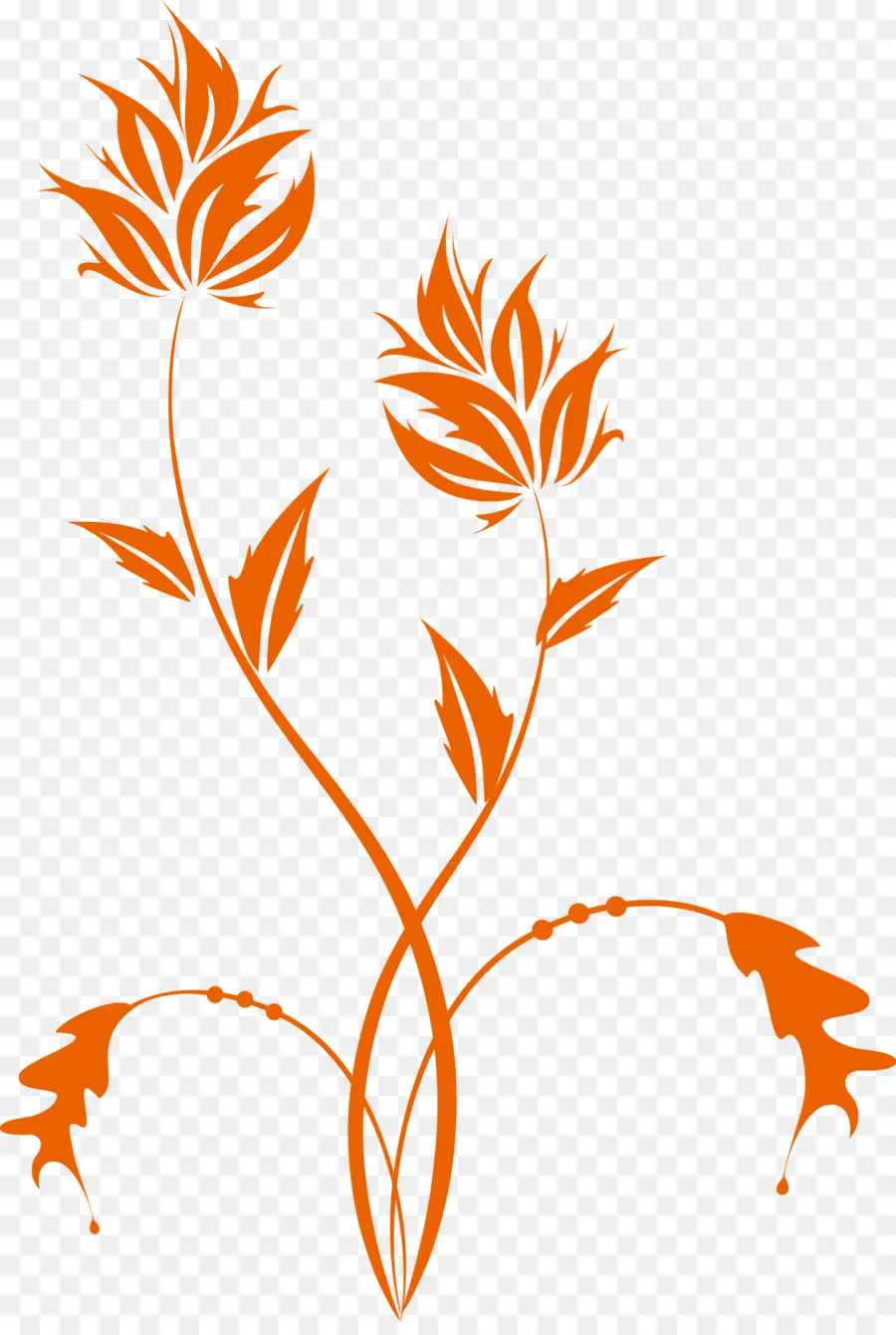 Design Floral，Branche PNG