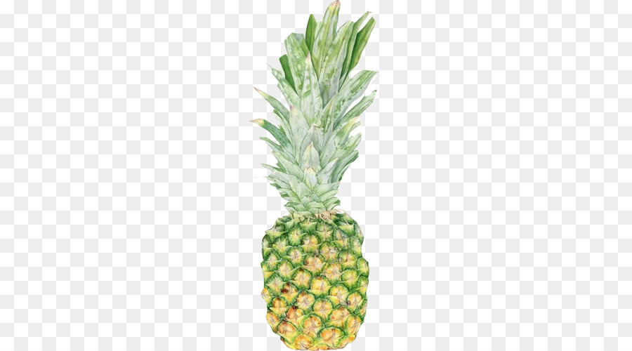 Ananas，Tropical PNG