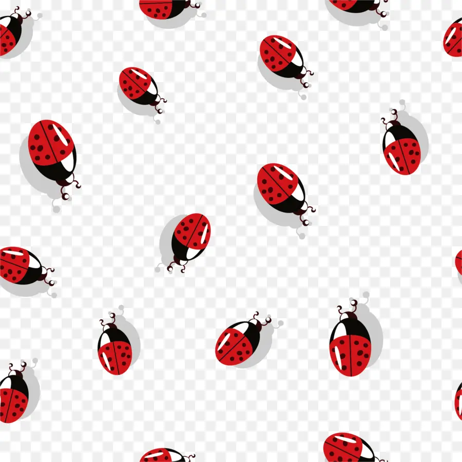 Coccinelle，Insecte PNG