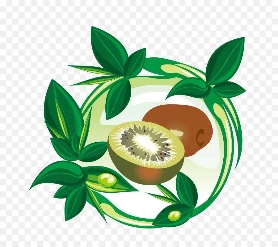 Kiwi，Vert PNG