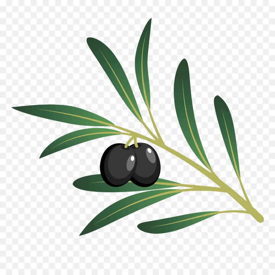 Olive，Huile D'olive PNG