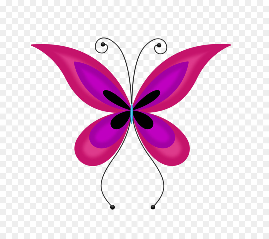 Papillon Rose，Ailes PNG