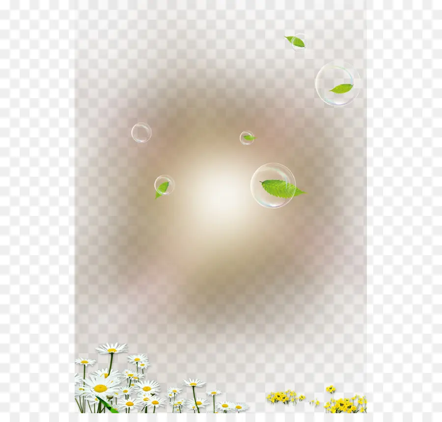 Fleurs Et Bulles，Marguerites PNG